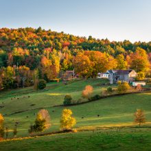 Royal LePage TEAM REALTY Tip Series: 6 Tips For Buying Rural in Ottawa